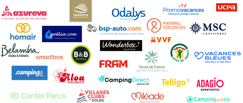 Bandeau logos site vitrine
