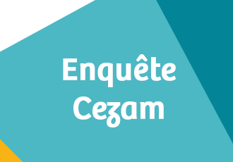 Enquete cezam cse elus dialogue social entreprise