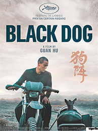 Affiche Black Dog Festival film cezam 2026